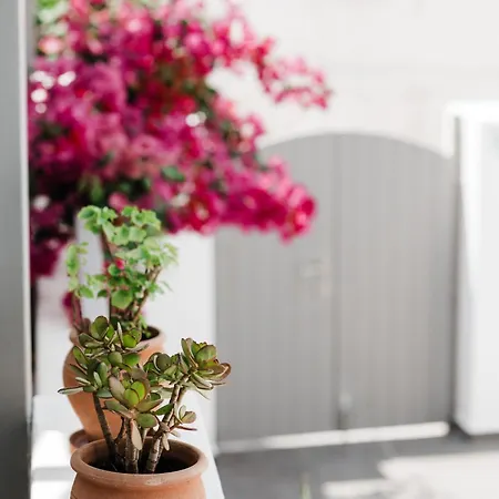 Aparthotel Amphitrite Santorini Vothon
